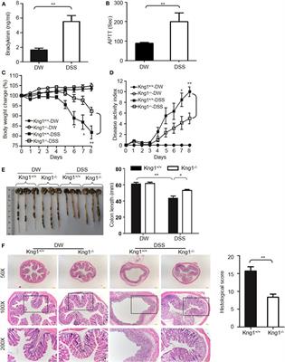 The Plasma Kallikrein–Kininogen Pathway Is Critical in the Pathogenesis of Colitis in Mice